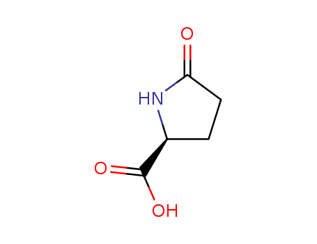 L-PYROGLUTAMIC ACID