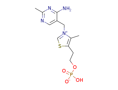 2-(3-((4-amino-2-methylpyrimidin-5-yl)methyl)-4-methylthiazol-3-ium-5-yl)ethyl hydrogen phosphate